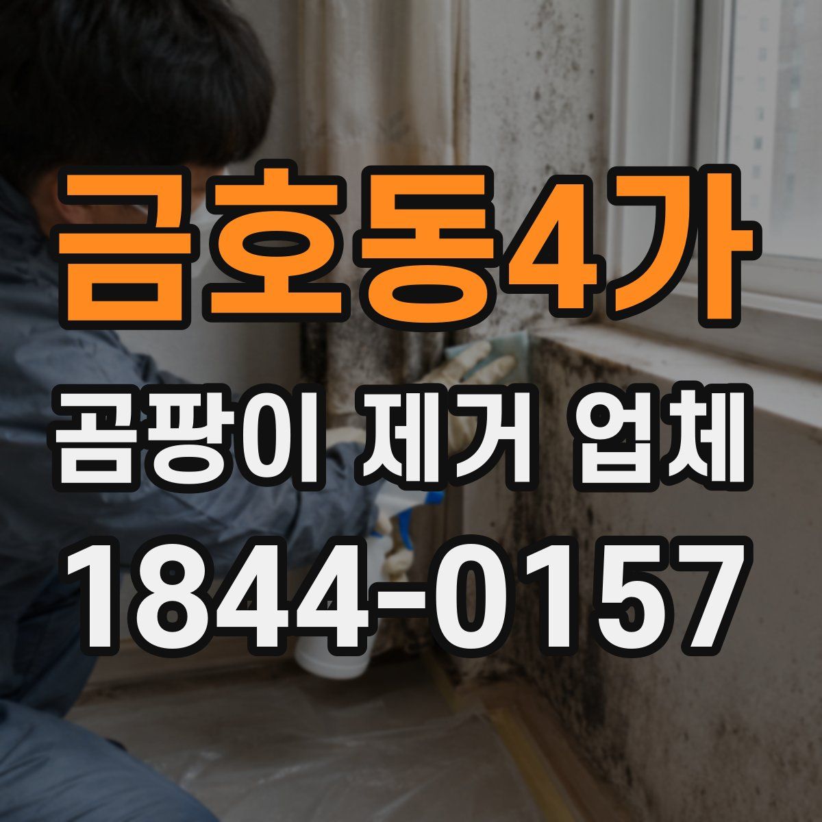 금호동4가 곰팡이 제거 업체