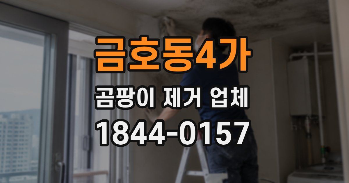 금호동4가 곰팡이 제거 업체