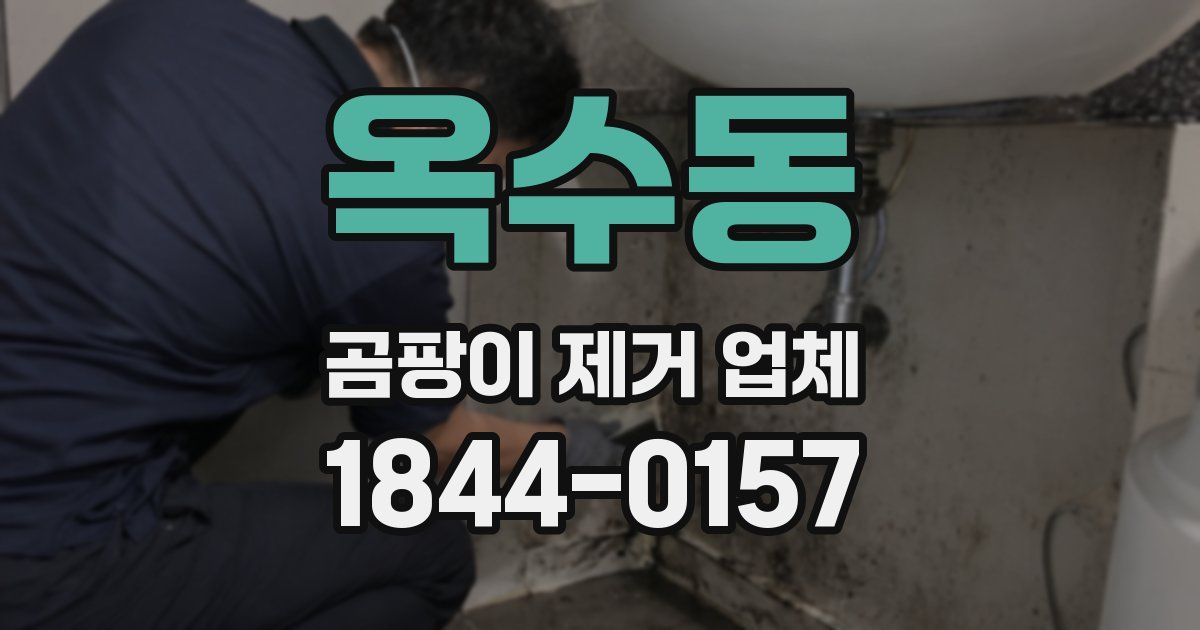 옥수동 곰팡이 제거 업체