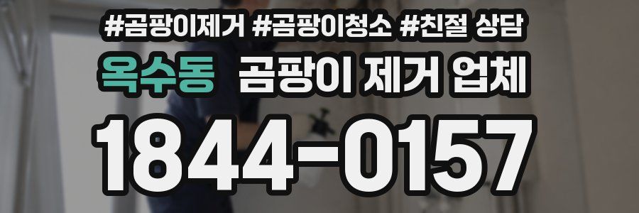옥수동 곰팡이 제거 업체