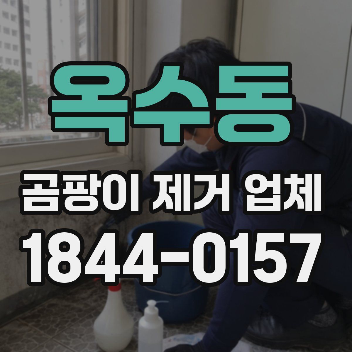 옥수동 곰팡이 제거 업체