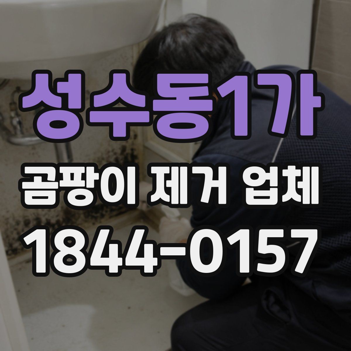 성수동1가 곰팡이 제거 업체 선택 시 업체별 차이점 살펴보기