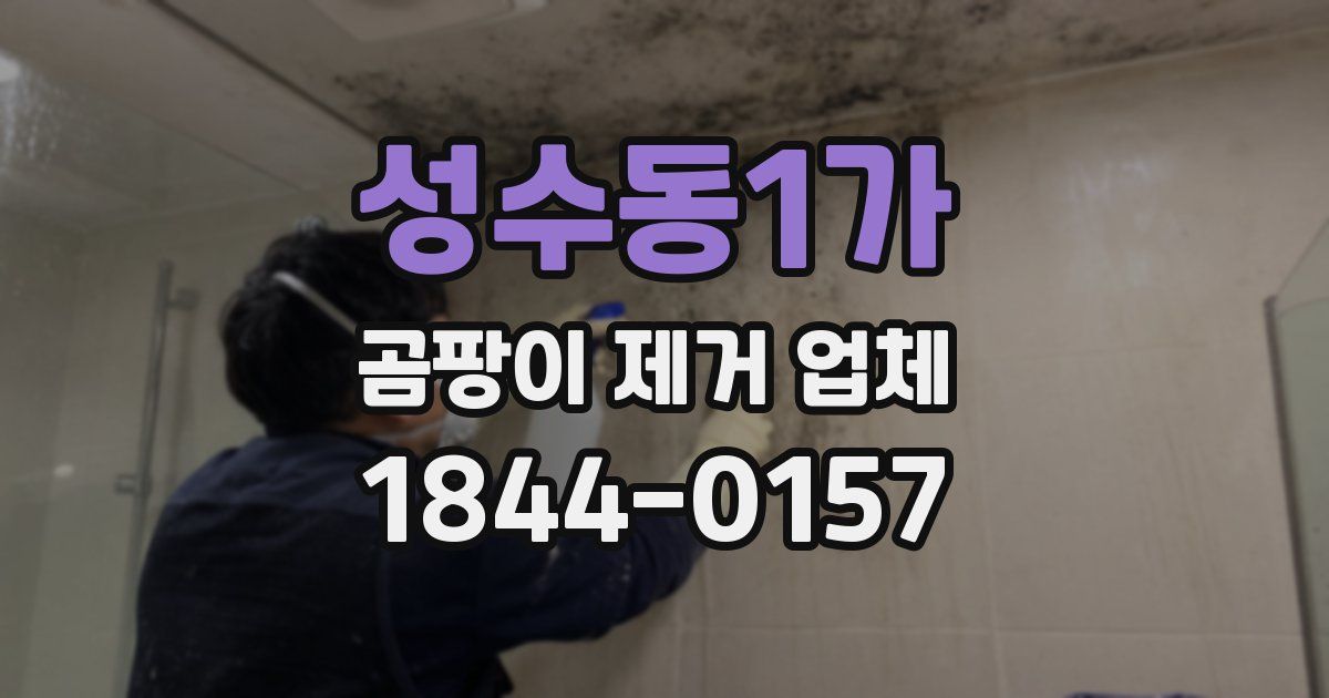 성수동1가 곰팡이 제거 업체
