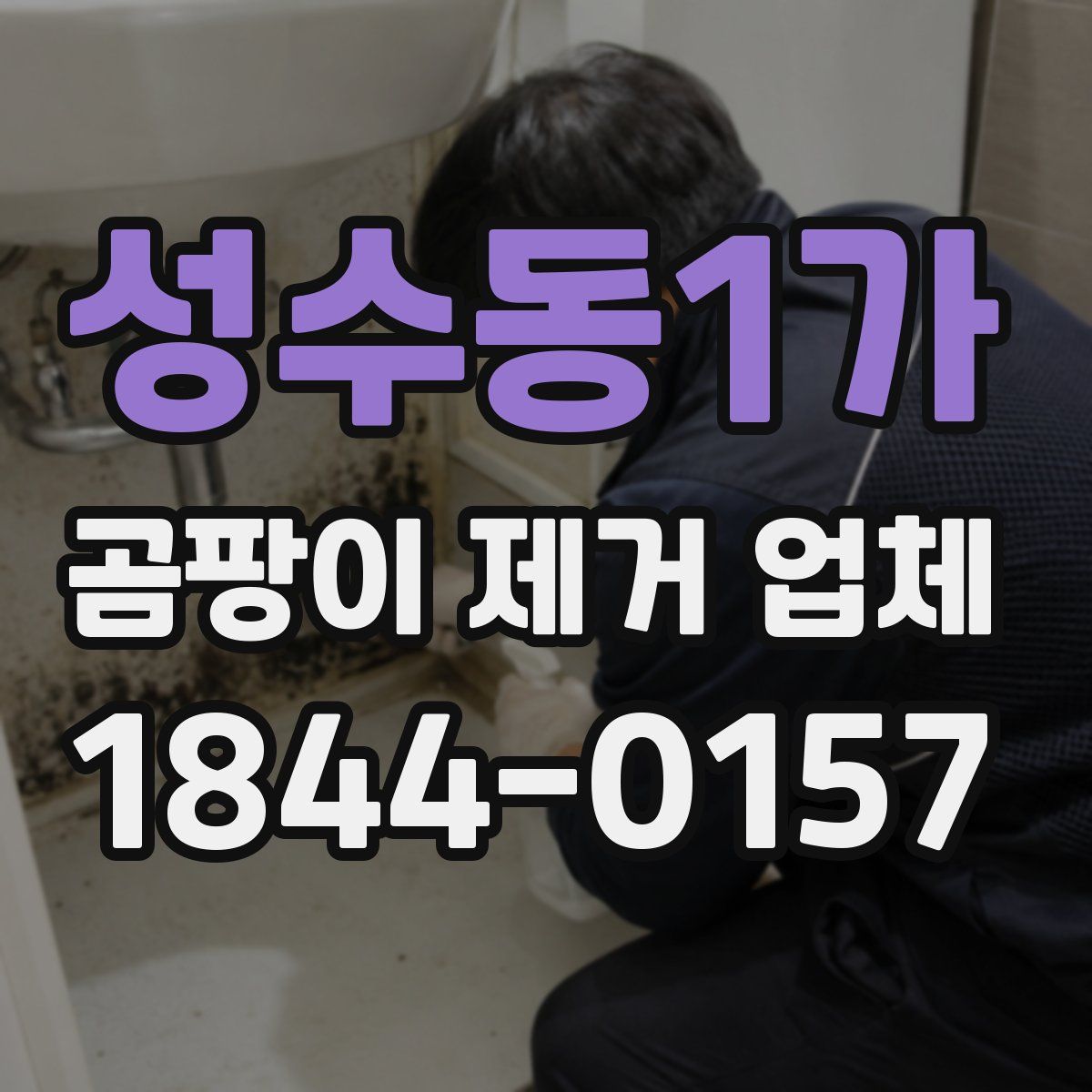 성수동1가 곰팡이 제거 업체