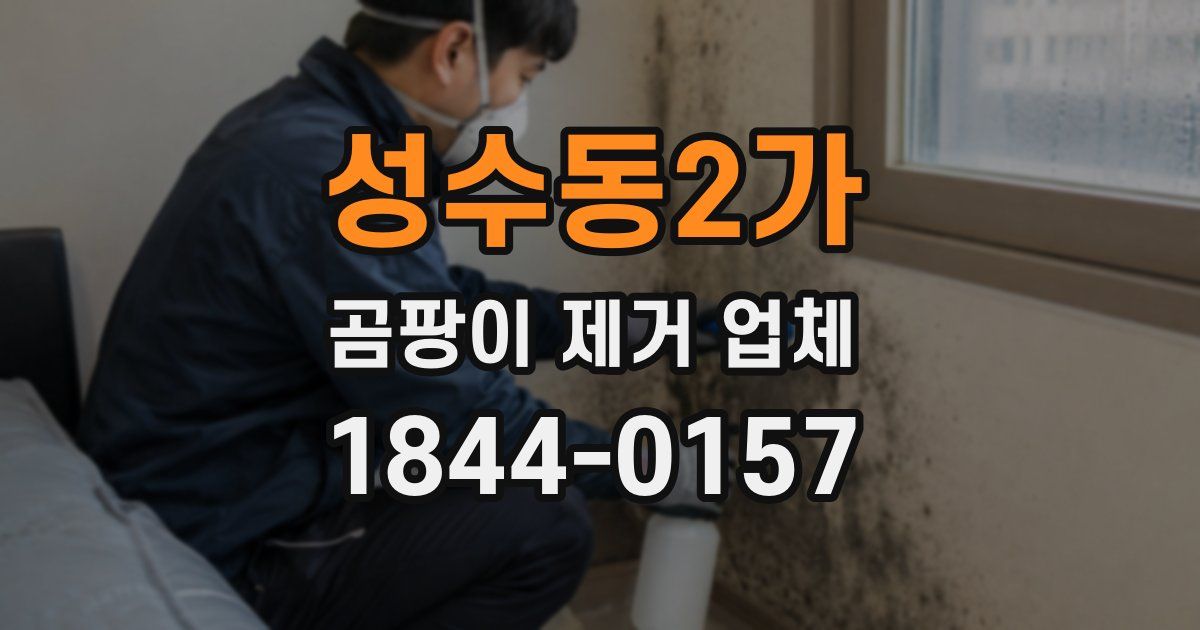 성수동2가 곰팡이 제거 업체