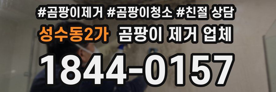 성수동2가 곰팡이 제거 업체
