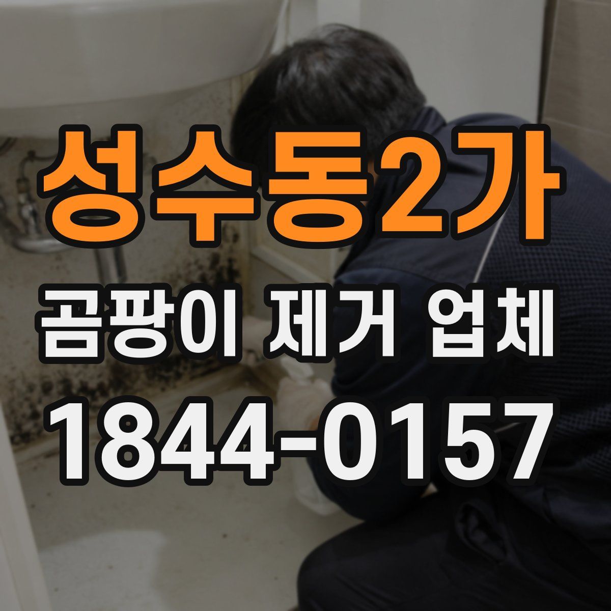 성수동2가 곰팡이 제거 업체