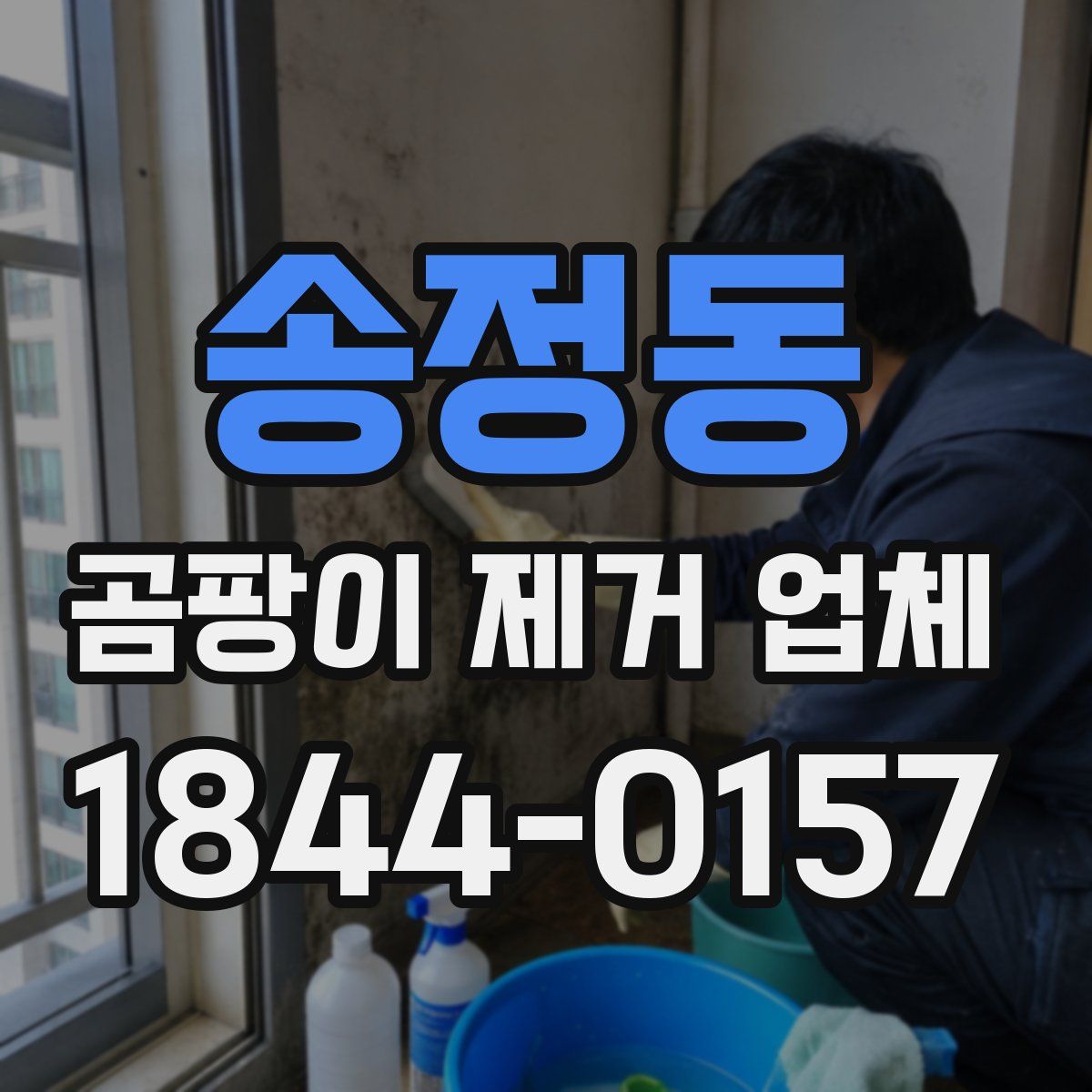 송정동 곰팡이 제거 업체