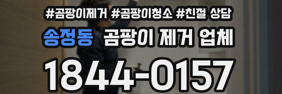 송정동 곰팡이 제거 업체