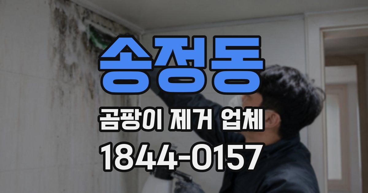 송정동 곰팡이 제거 업체