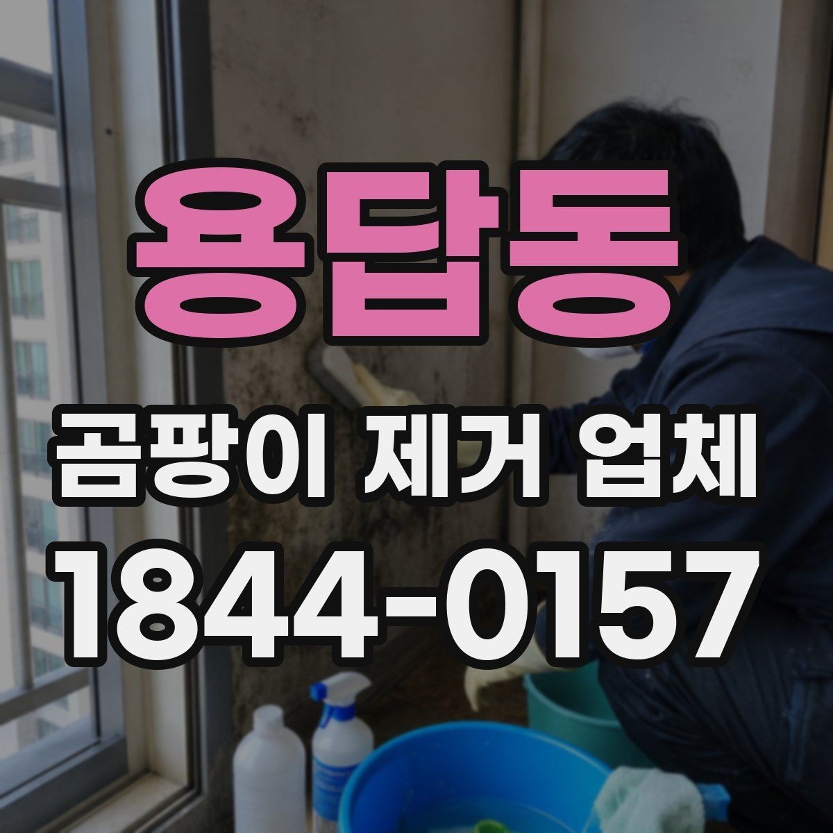 용답동 곰팡이 제거 업체 선택 시 신뢰도 확인 방법