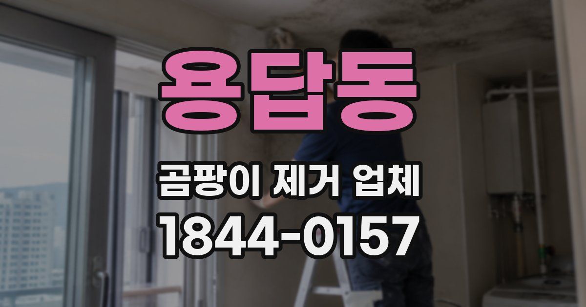 용답동 곰팡이 제거 업체