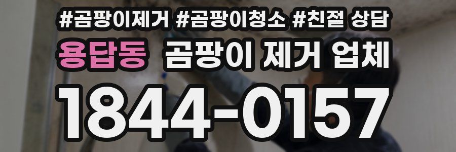 용답동 곰팡이 제거 업체