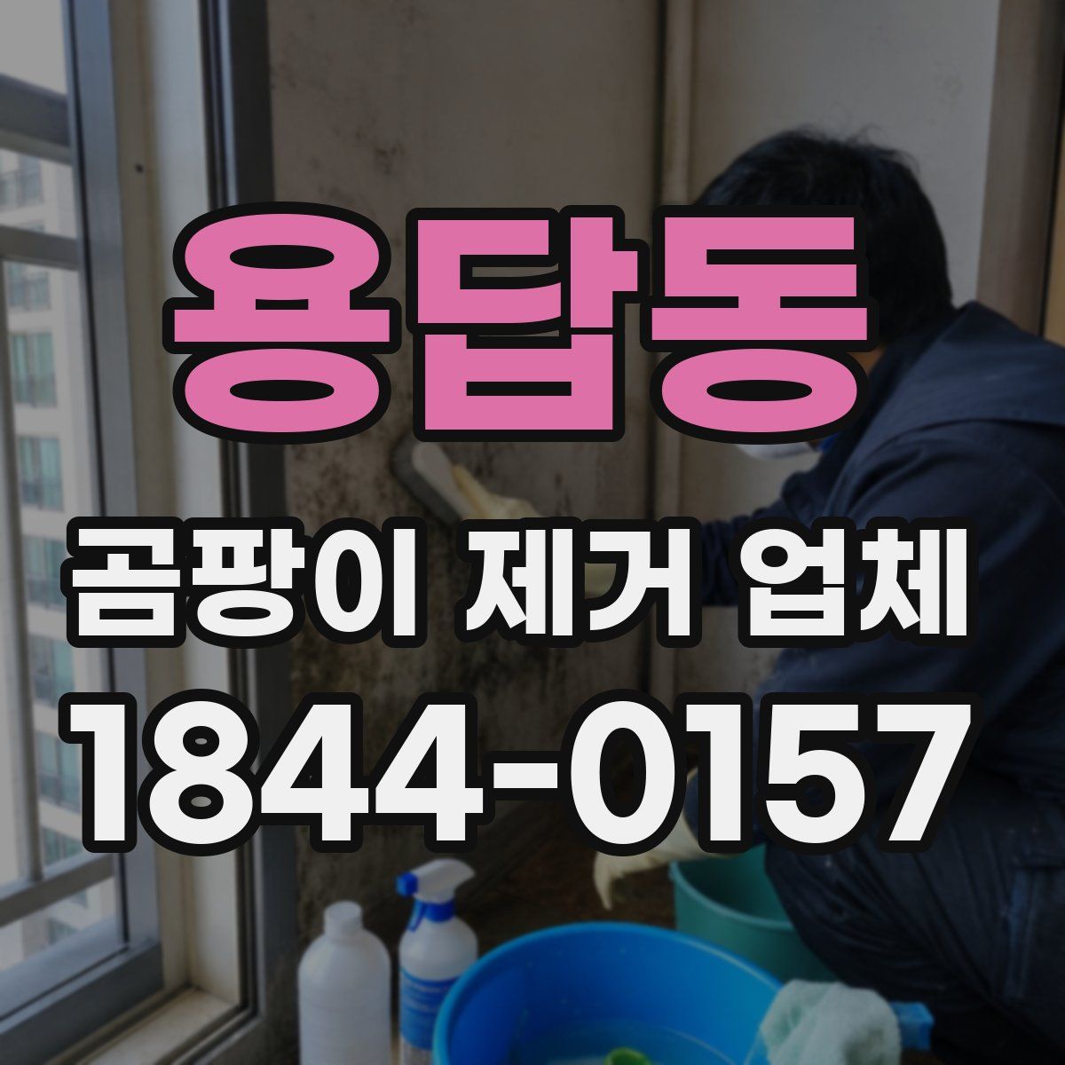 용답동 곰팡이 제거 업체