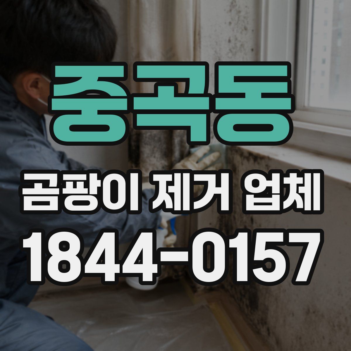 중곡동 곰팡이 제거 업체