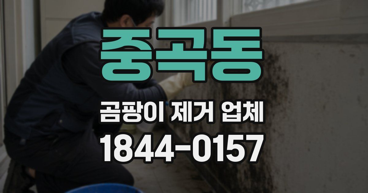 중곡동 곰팡이 제거 업체