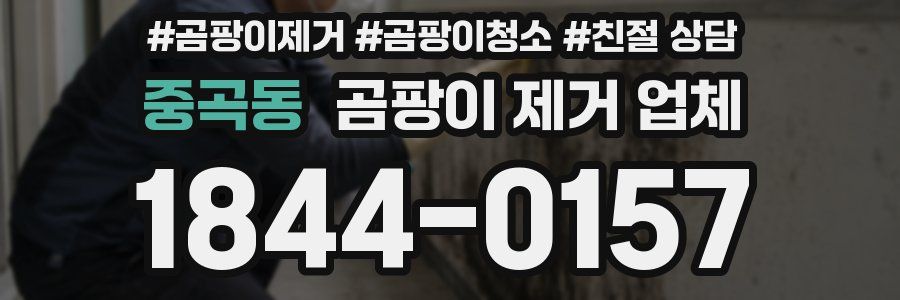 중곡동 곰팡이 제거 업체