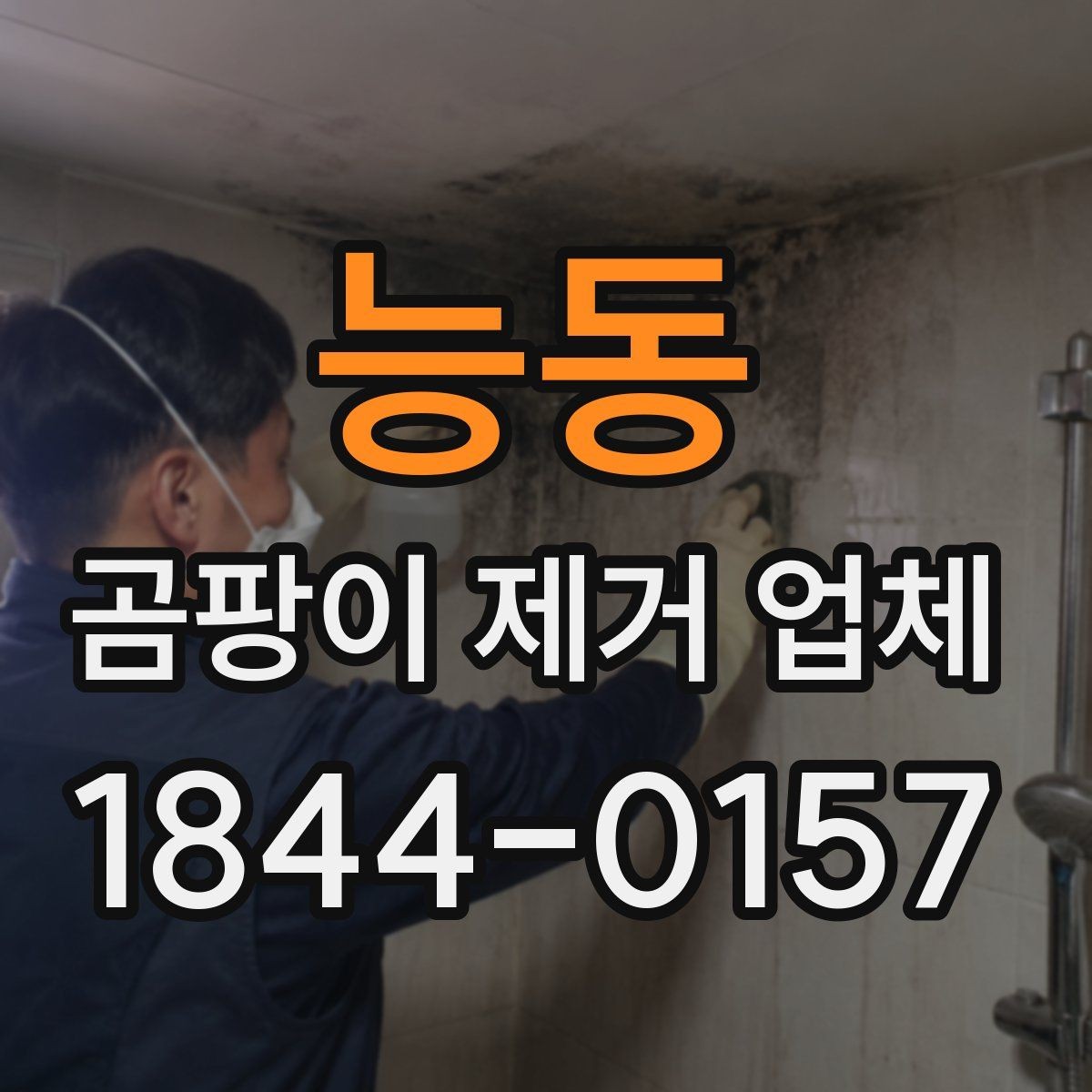 능동 곰팡이 제거 업체 선택 전 현장 상태 확인법