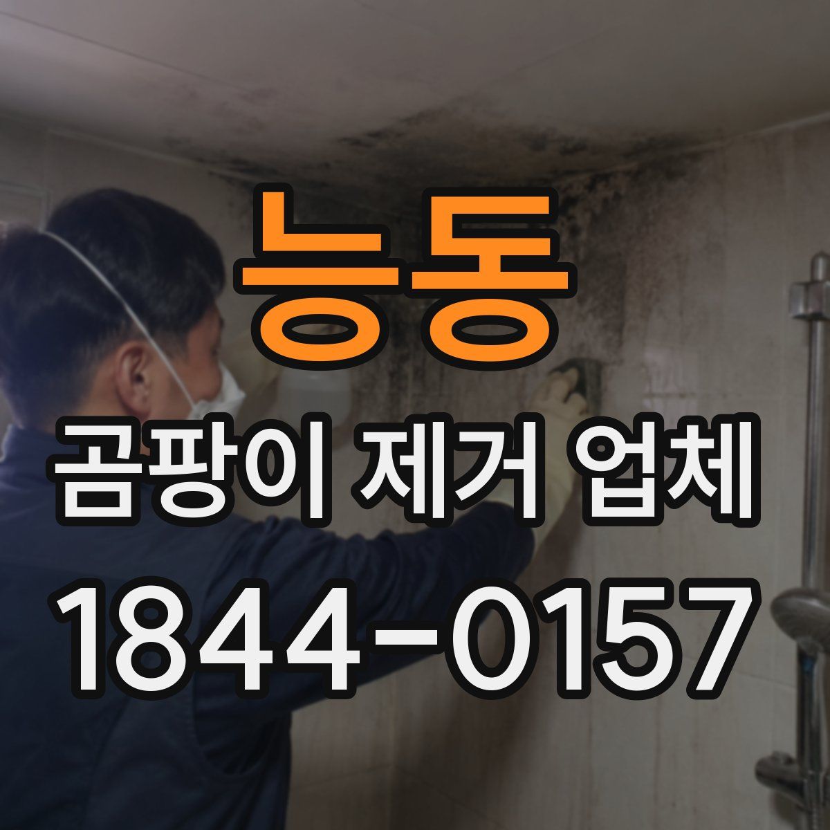 능동 곰팡이 제거 업체