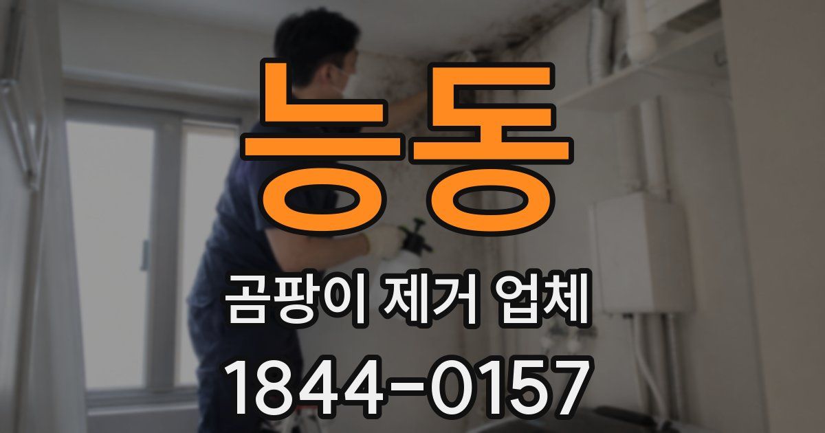 능동 곰팡이 제거 업체