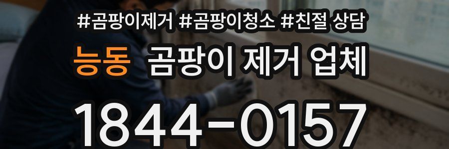 능동 곰팡이 제거 업체