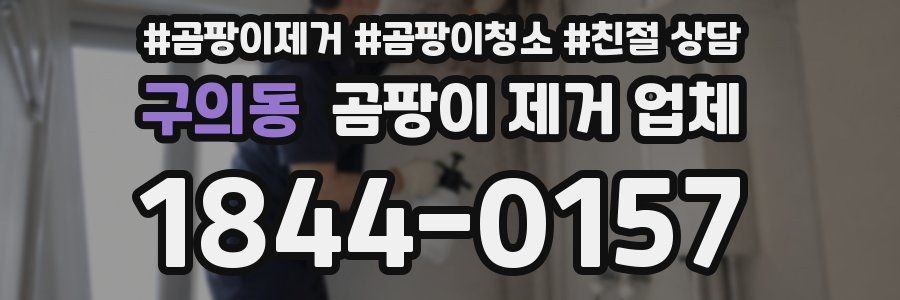구의동 곰팡이 제거 업체