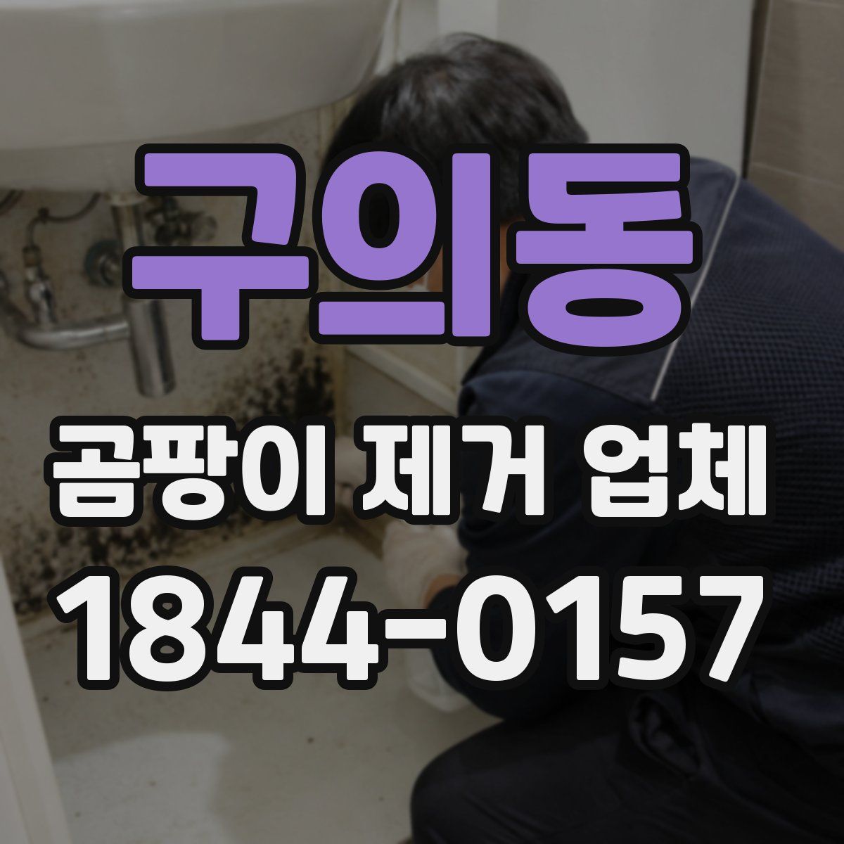 구의동 곰팡이 제거 업체