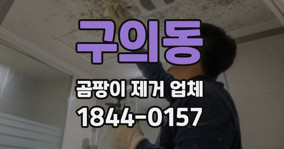 구의동 곰팡이 제거 업체