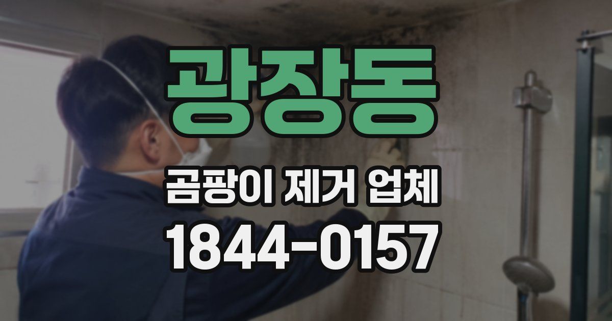 광장동 곰팡이 제거 업체