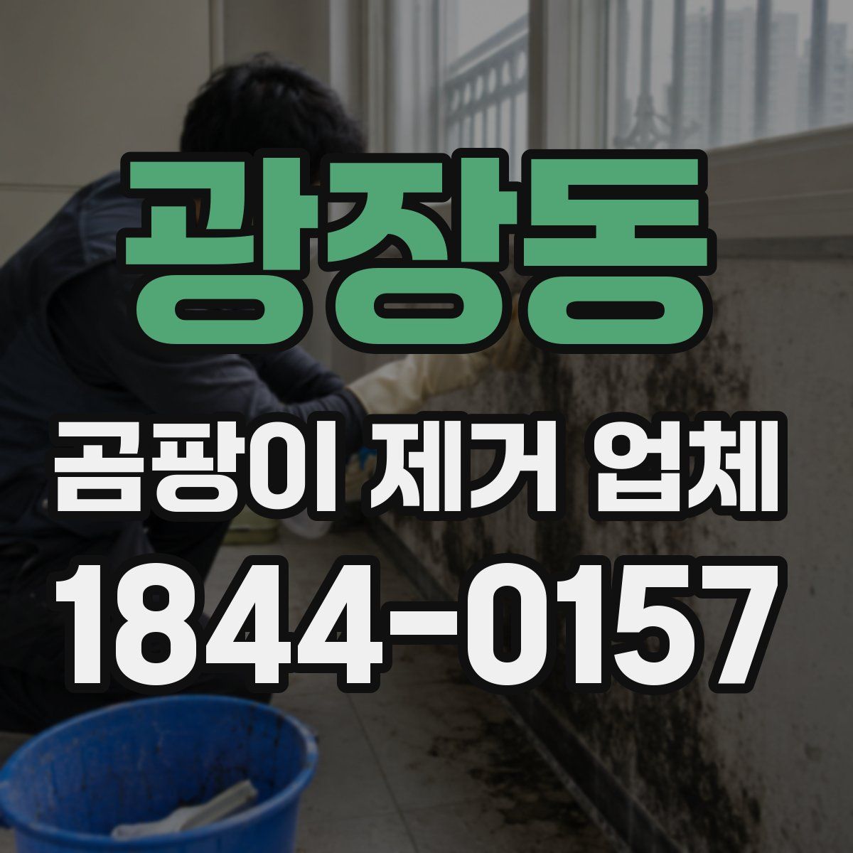 광장동 곰팡이 제거 업체