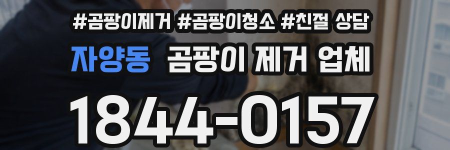 자양동 곰팡이 제거 업체