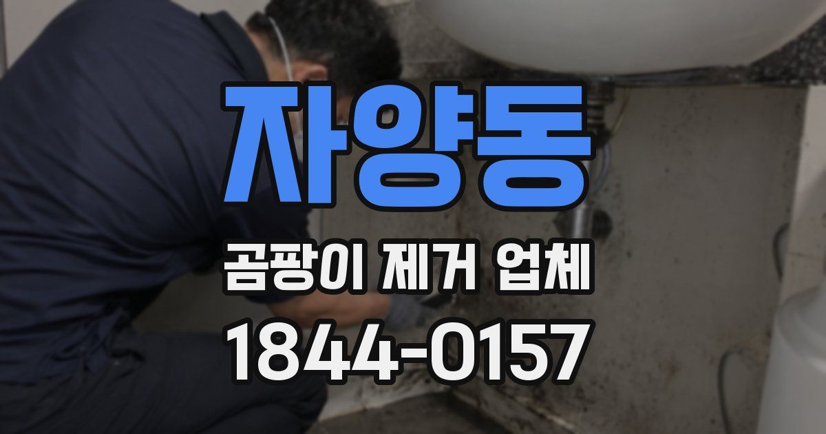 자양동 곰팡이 제거 업체