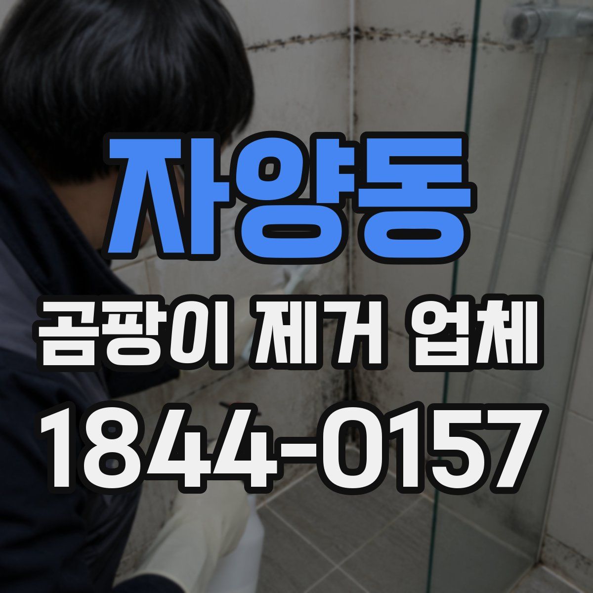 자양동 곰팡이 제거 업체