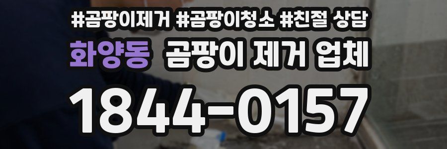 화양동 곰팡이 제거 업체