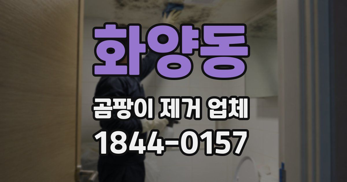 화양동 곰팡이 제거 업체