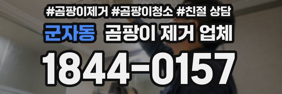 군자동 곰팡이 제거 업체