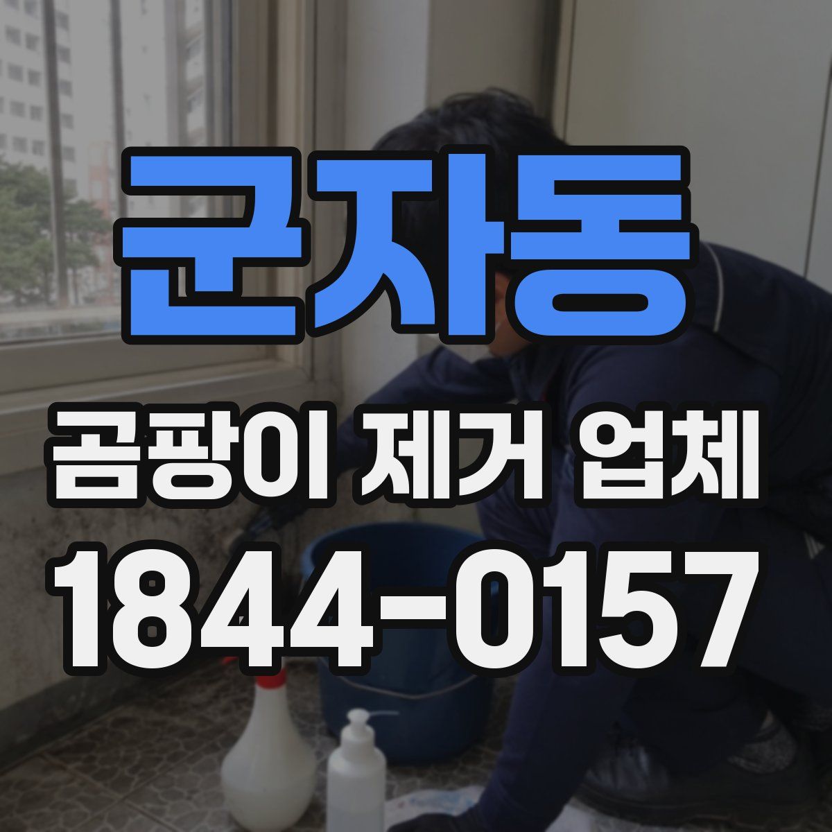 군자동 곰팡이 제거 업체