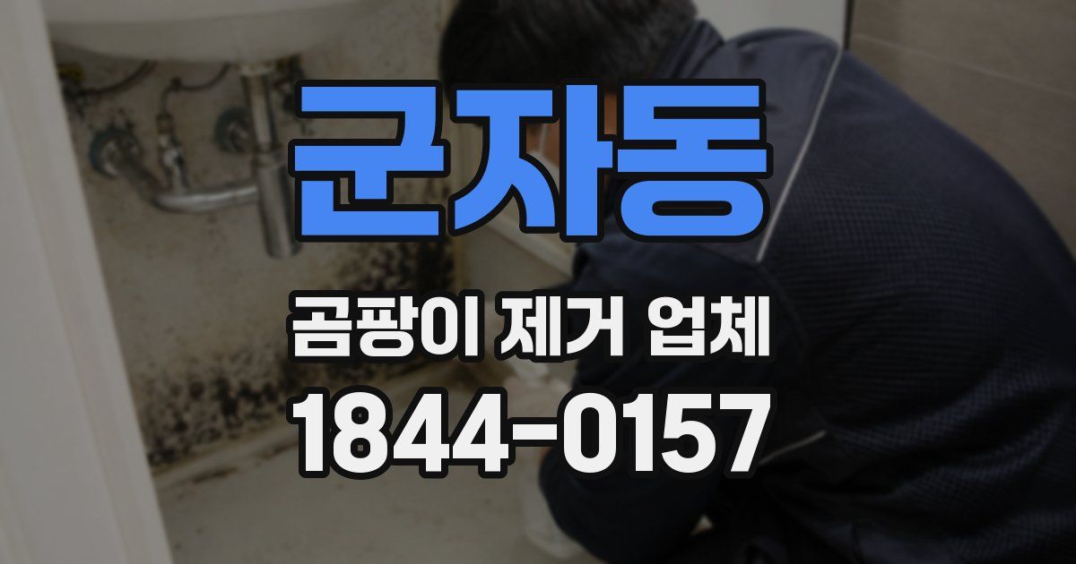 군자동 곰팡이 제거 업체