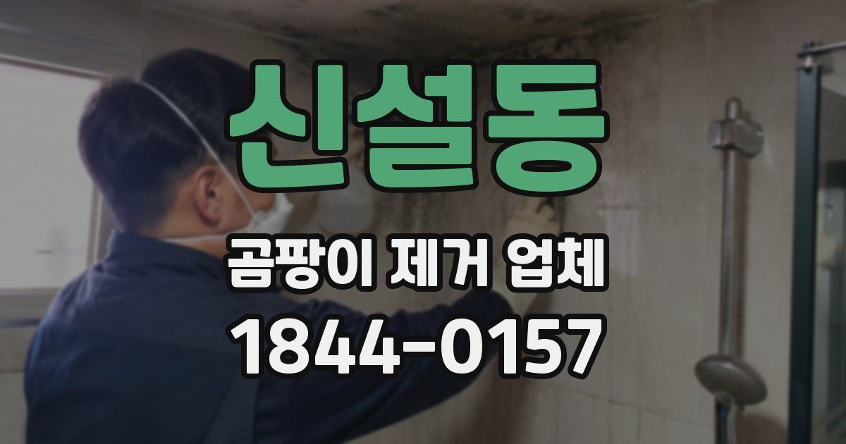 신설동 곰팡이 제거 업체