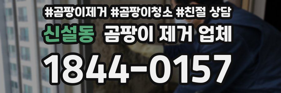 신설동 곰팡이 제거 업체