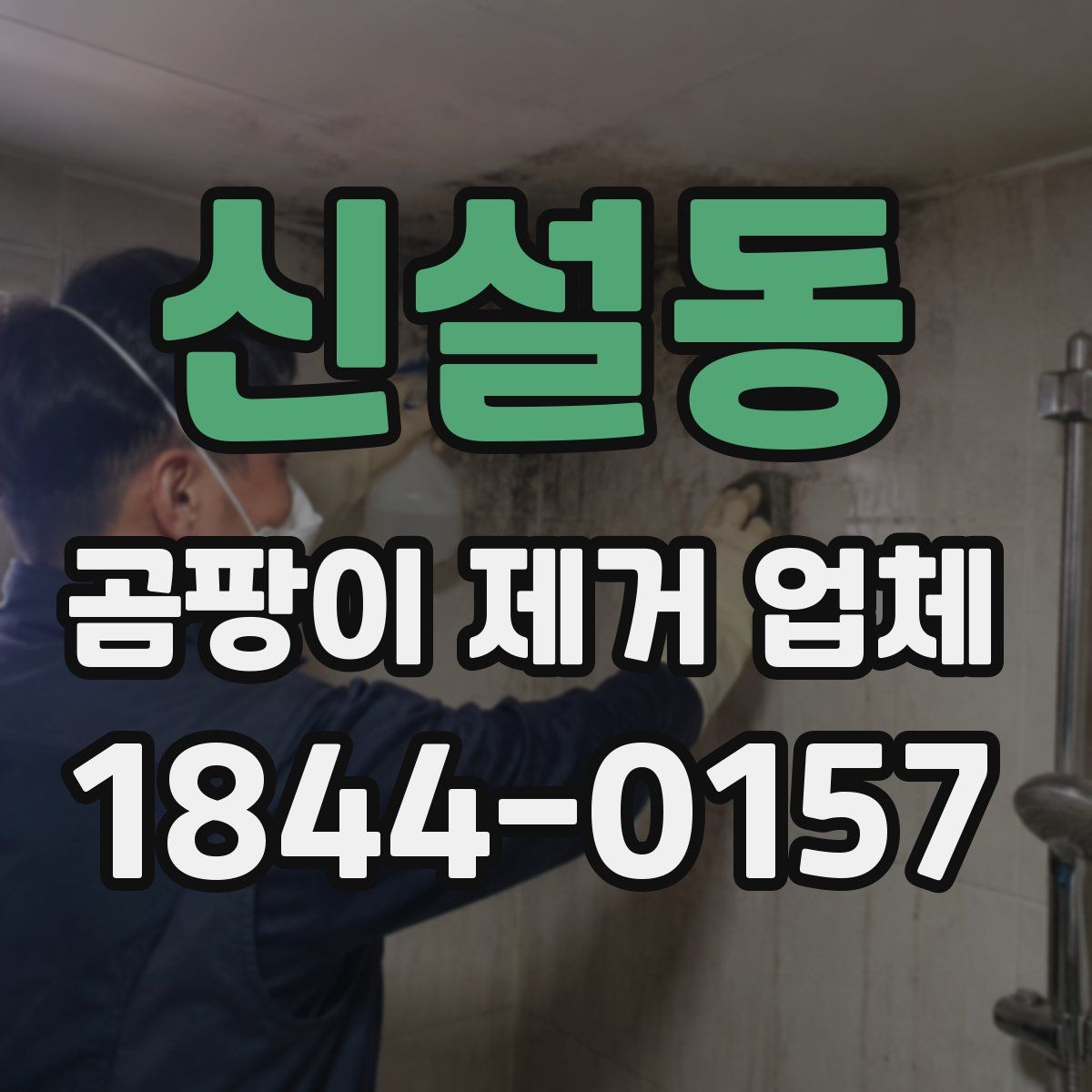 신설동 곰팡이 제거 업체