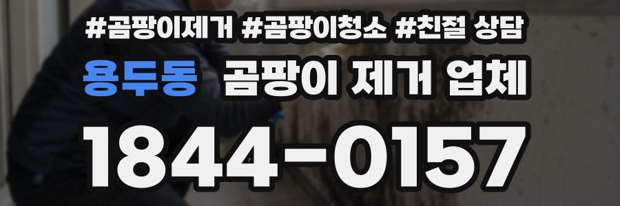 용두동 곰팡이 제거 업체