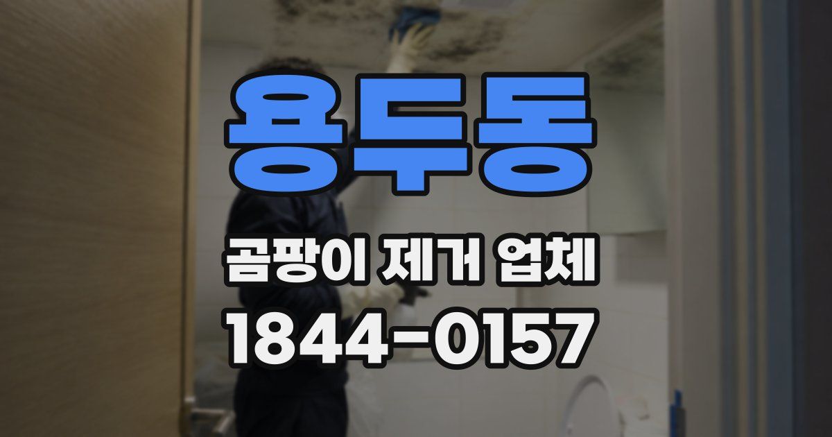 용두동 곰팡이 제거 업체