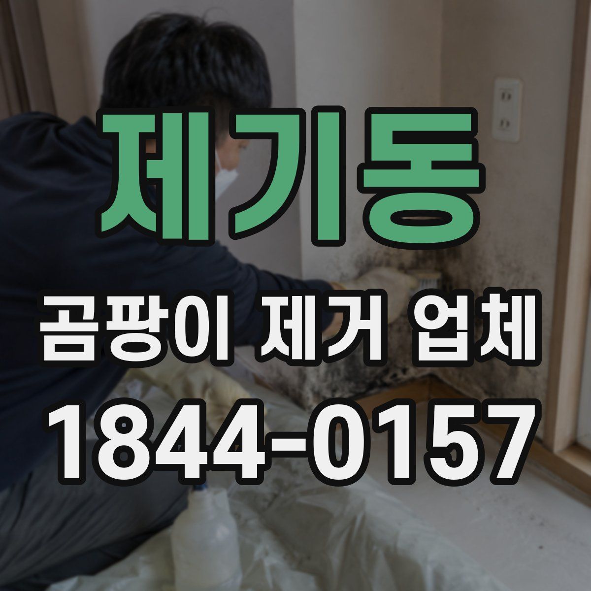 제기동 곰팡이 제거 업체