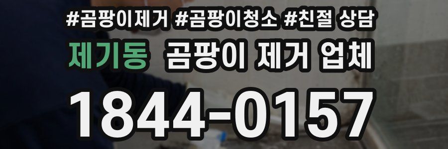 제기동 곰팡이 제거 업체
