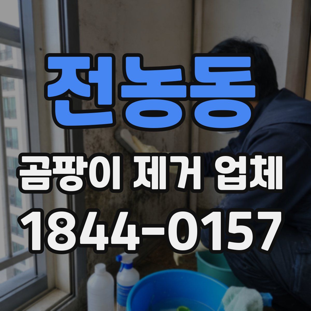 전농동 곰팡이 제거 업체