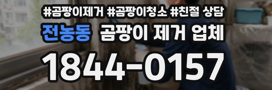 전농동 곰팡이 제거 업체