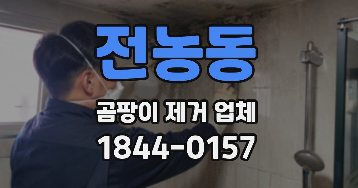 전농동 곰팡이 제거 업체