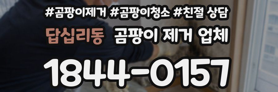 답십리동 곰팡이 제거 업체