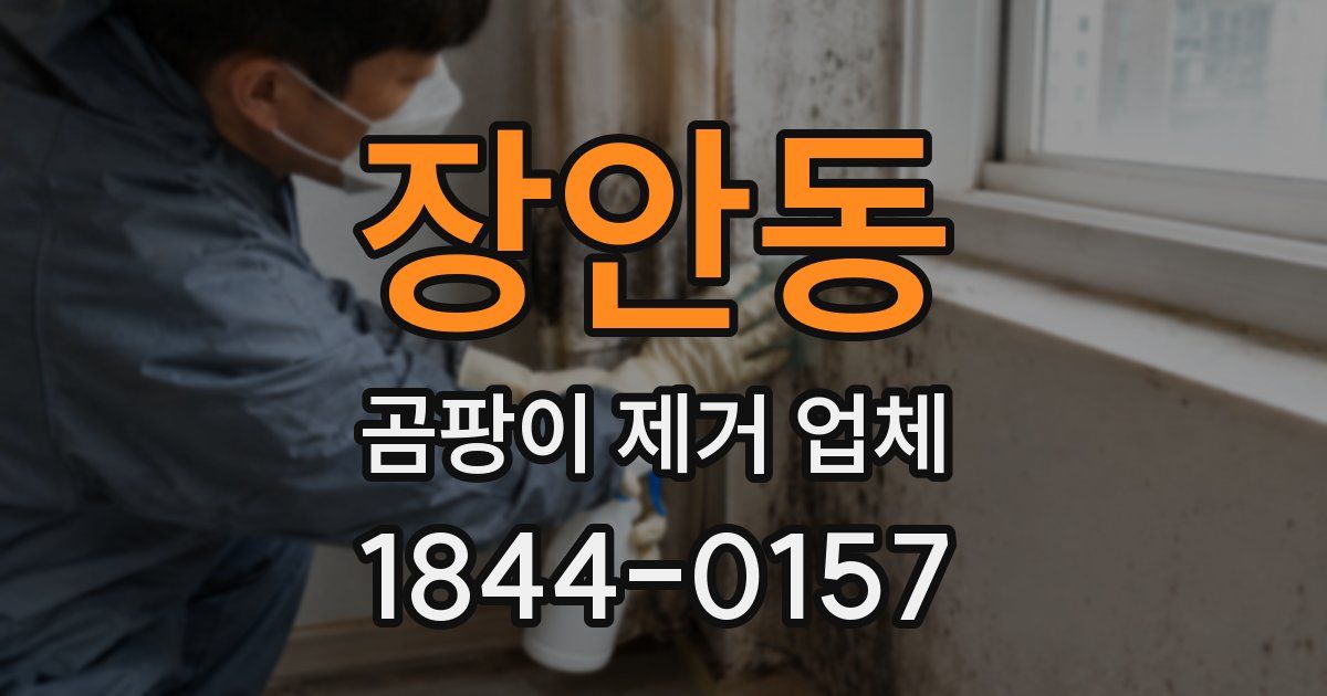 장안동 곰팡이 제거 업체